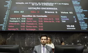Em sessão na manhã desta quarta-feira, deputados aprovaram aumento salarial para parte dos servidores estaduais (Foto: Alexandre Netto/ALMG)