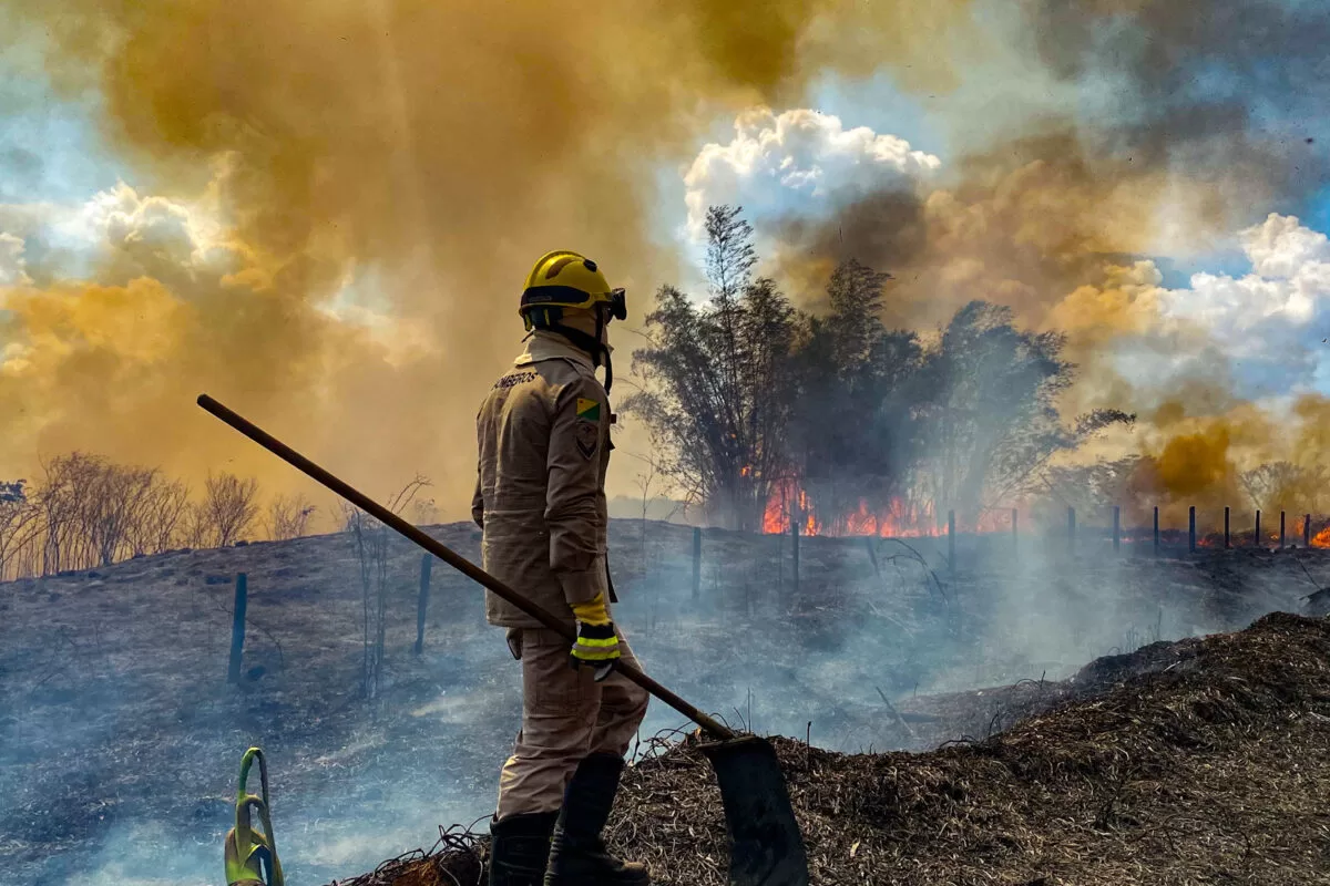 Presos dois suspeitos de provocar incêndios na Amazônia