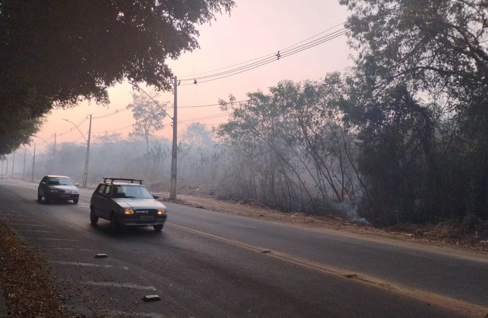 Divinópolis e região enfrentam nova onda de incêndios florestais com aumento superior a 260% nas ocorrências