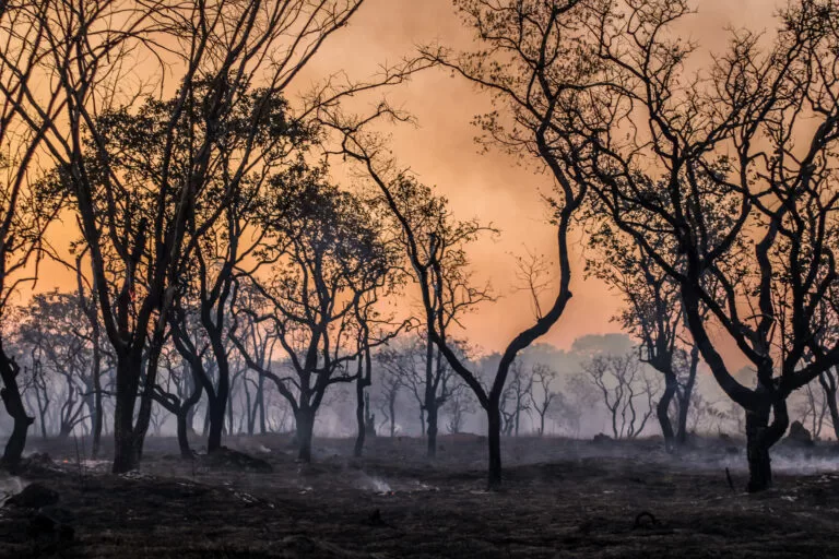 Corpo de Bombeiros utiliza novas tecnologias de satélites para combater incêndios florestais em Minas