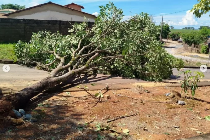 Destruição provocada pelas chuvas de janeiro obriga cancelamento do carnaval em Iguatama e Carmo da Mata