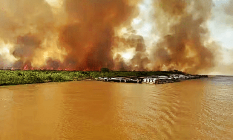 Polícia Federal investiga incêndios criminosos no Pantanal