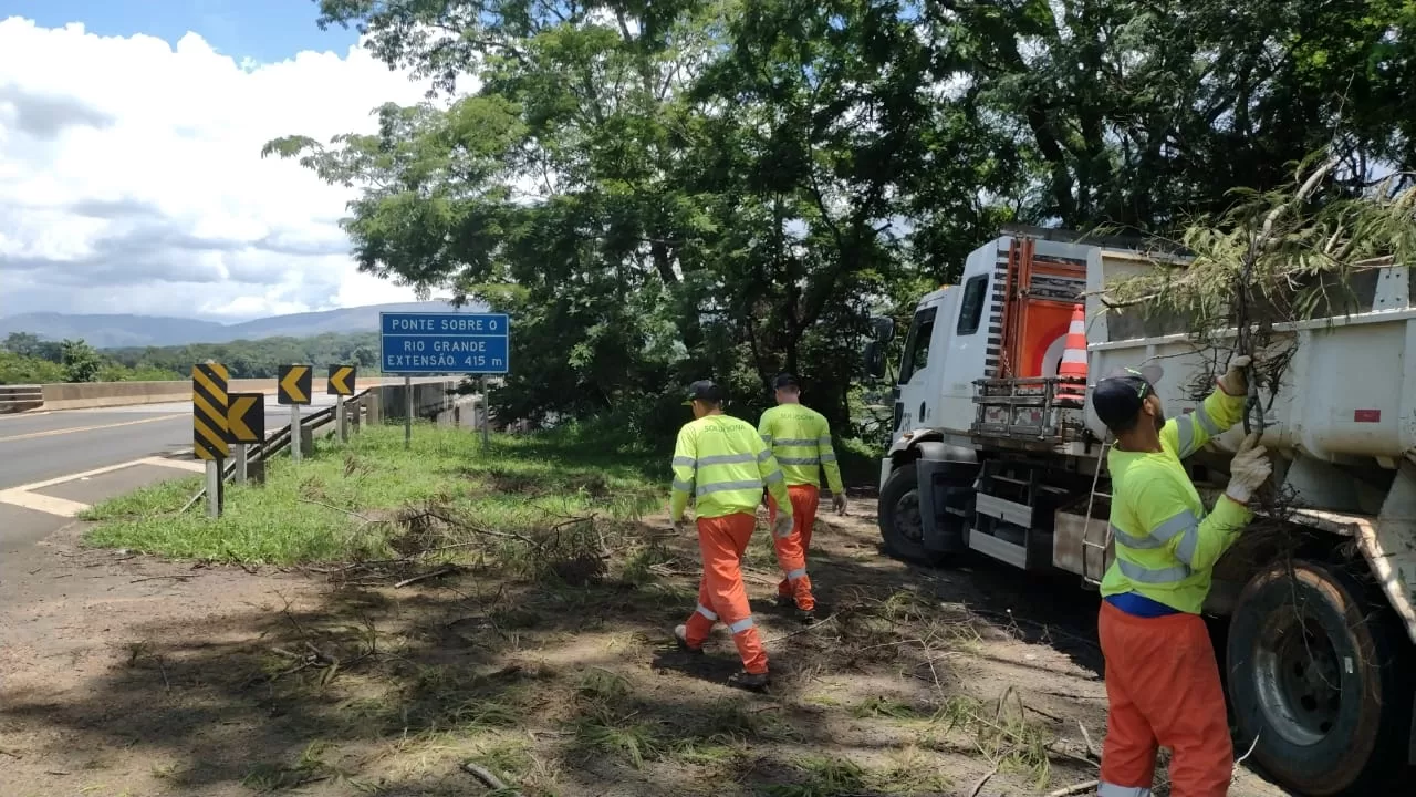 Mais de 200 toneladas de lixo foram retiradas das rodovias que cortam a região em 2024          