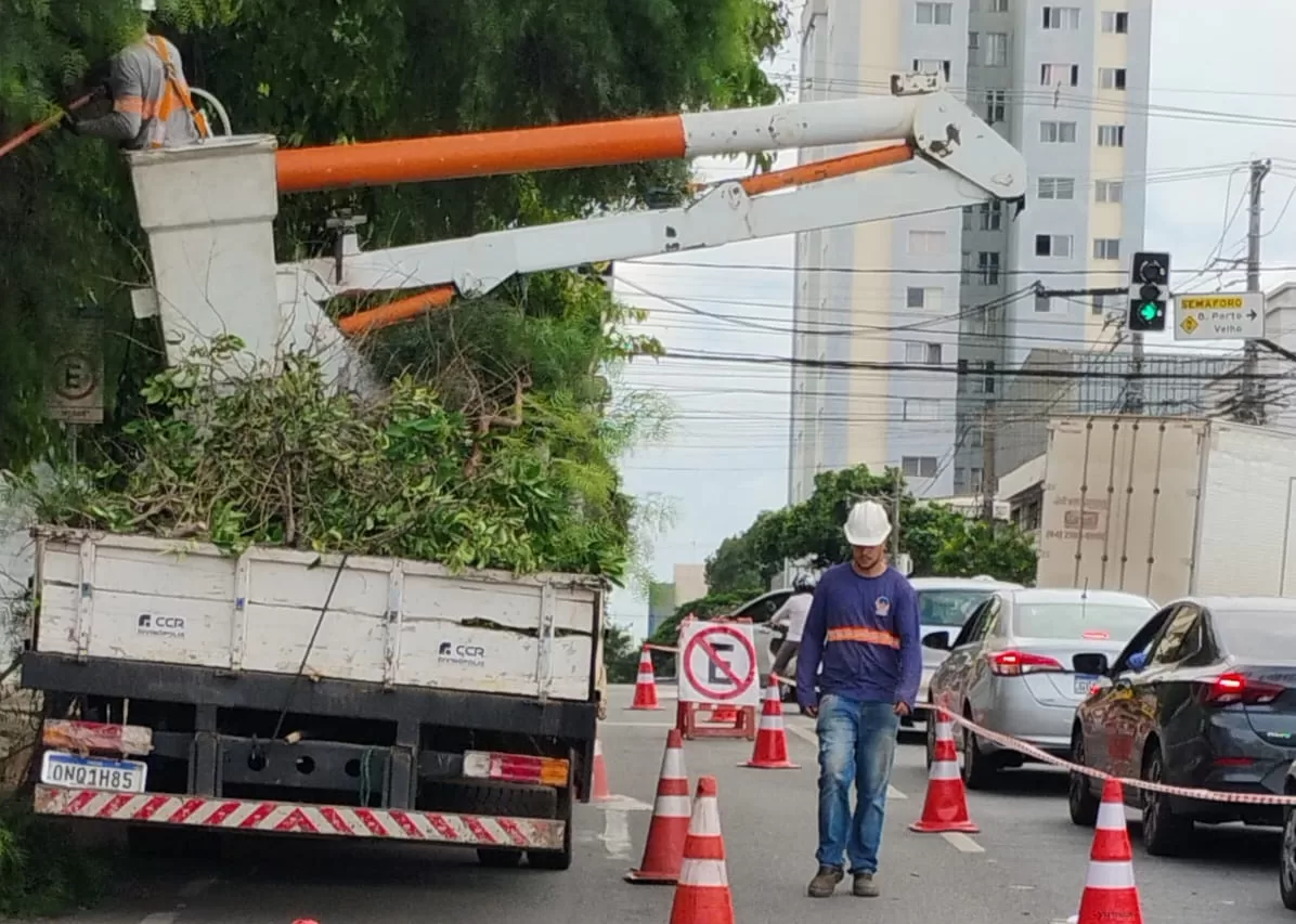 Poda de árvores em horário de pico causa engarrafamento, irritação e discussão entre motoristas no inicio da manhã