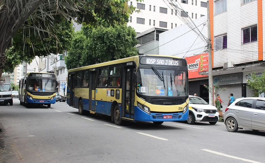 Contra a vontade do prefeito, entra em vigor lei que permite transporte de animais nos ônibus coletivos de Divinópolis