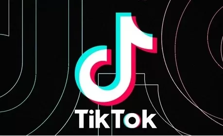 TikTok remove vídeo fake de Haddad sobre imposto do cachorrinho de estimação